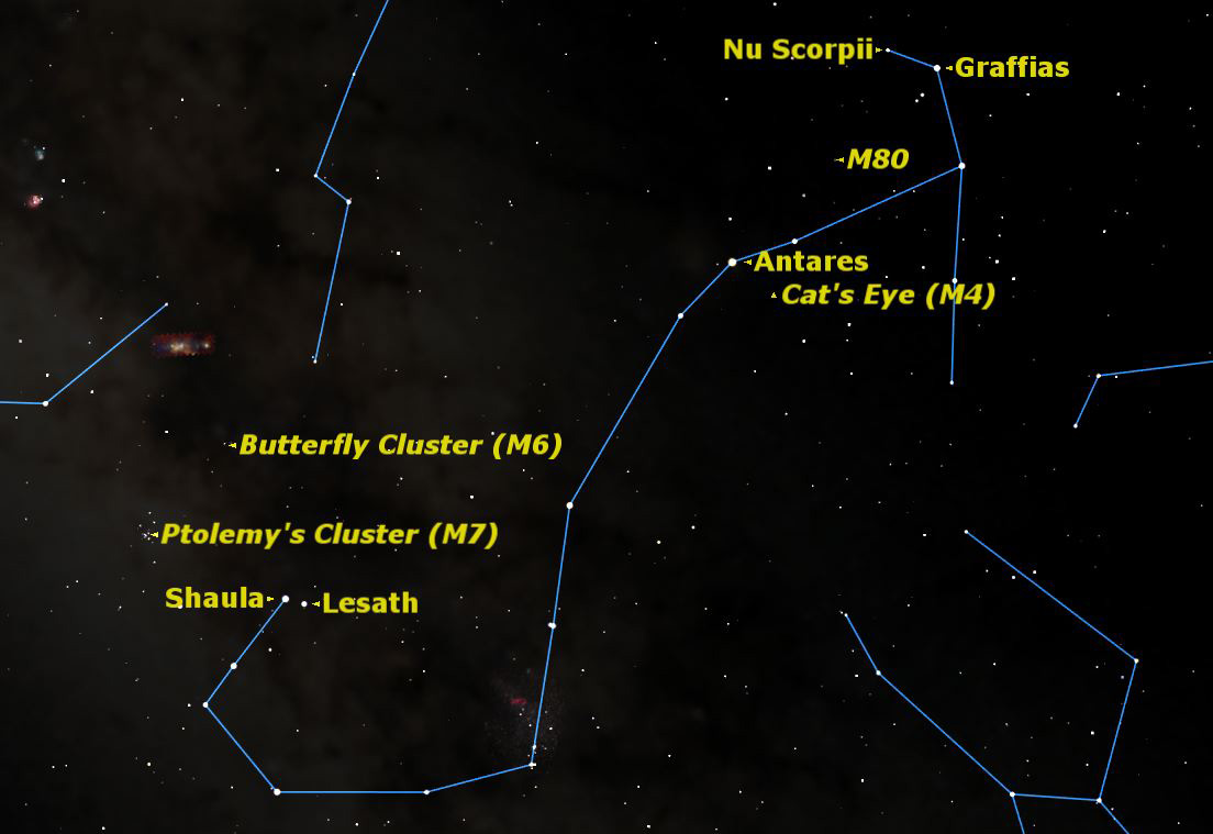 Cosmic Scorpion: Scorpius Constellation Explained